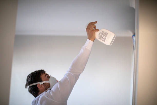 Best Affordable Mold Removal  in Riverdale, CA