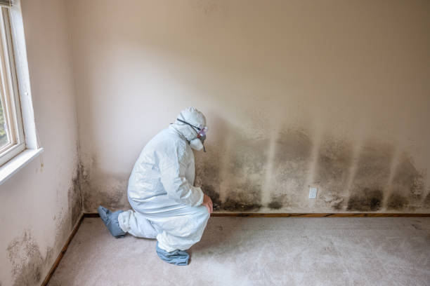 Best Crawl Space Mold Removal  in Riverdale, CA
